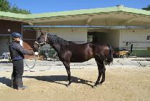 �̽�ī�� (MISS CARA) ����