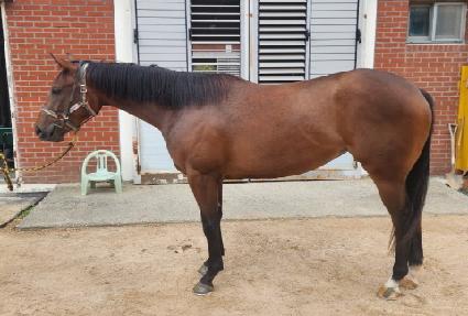 ���̽����� ����