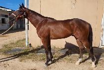 ���� (SUN JAE) ����