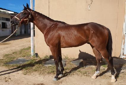 ���� ����