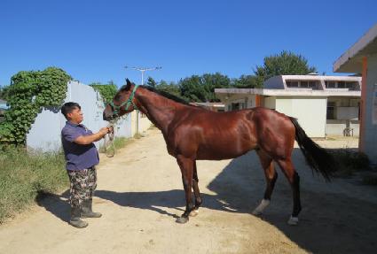 �ż���� ����