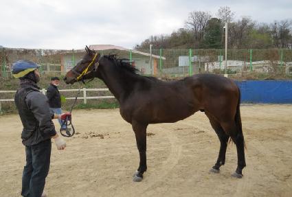 �����ص��� ����