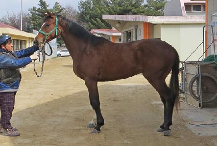 ����λ轺 ����