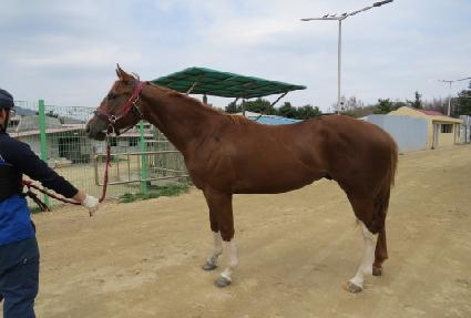 ���̽����� ����