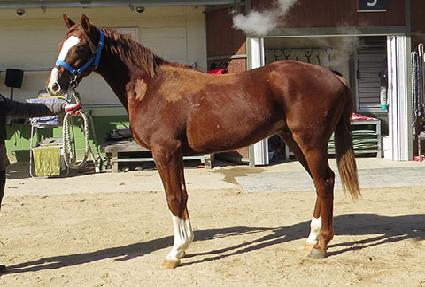 ��ǳó�� ����