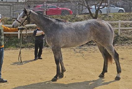 ��ǻ��¿�� ����