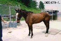 �ҽ� (TTUK SIM) ����