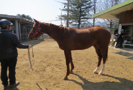 �帮������ ����