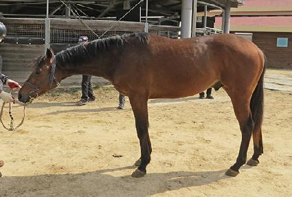 �ö��׿��� ����