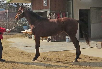 �帲�Ƴ� ����