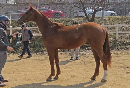 �������轺 ����