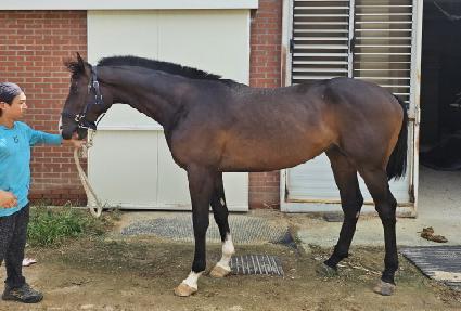 ���̵����� ����