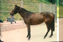 ������ (DO SEUNG JI) ����