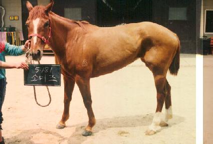 �Ҹ��� ����