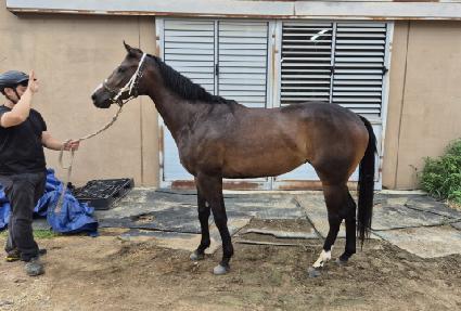 �ö���ī�� ����