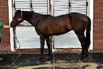 Ű�������� (KISS THE RAIN) ����