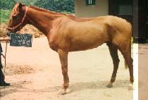 �����⿬ (GO JEUNG CHOO LYEN) ����