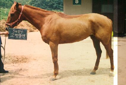 �����⿬ ����