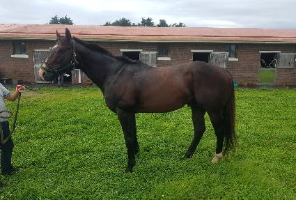 Ŭ���Ŀ����̾� ����