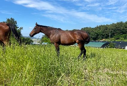 ���νú� ����