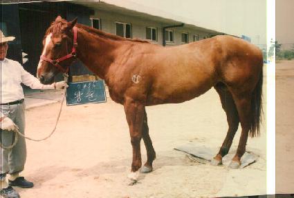 �ռ� ����