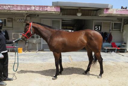 ���Ǳ׷��̽� ����