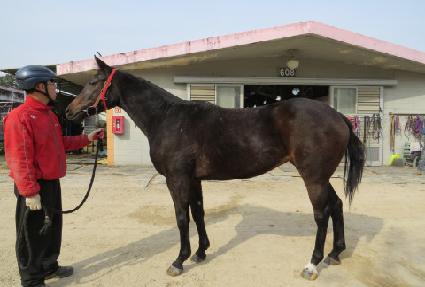 ���ǵ��Ѿ� ����