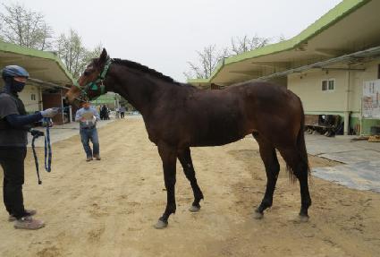 ���ĺν��� ����