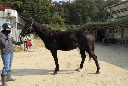 �巡������ ����