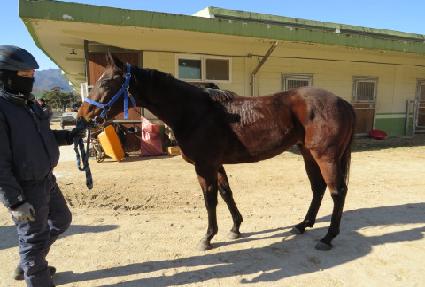 �����̺���Ʈ ����