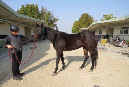 ����Ʈ��ġ ����