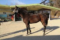 ����ũ�� (TAKE CHARM) ����