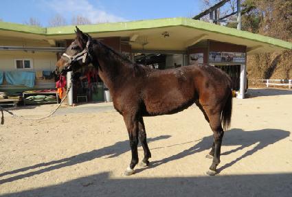 ����ũ�� ����