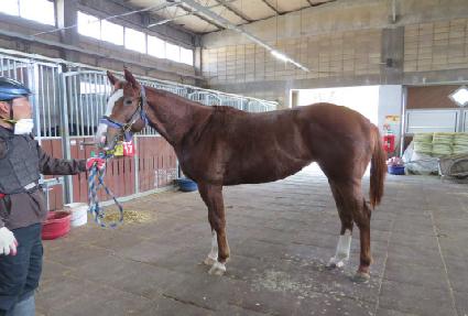 ��������Ʈ ����