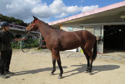 �����̺��丮 ����