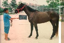 ���� (GU DO) ����