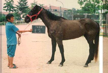 ���� ����