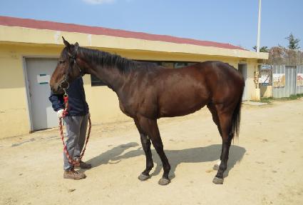 �̽���ũ���� ����