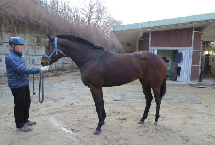 Ʈ�������� ����