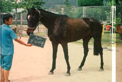 �ϸ����� ����