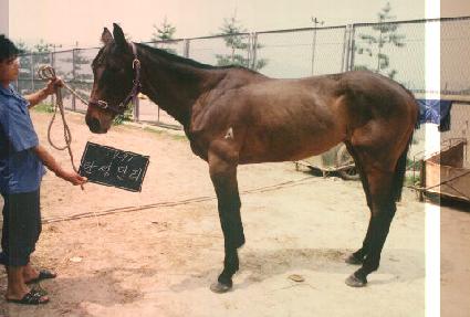 ź������ ����