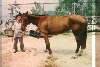 �ؽð� ����