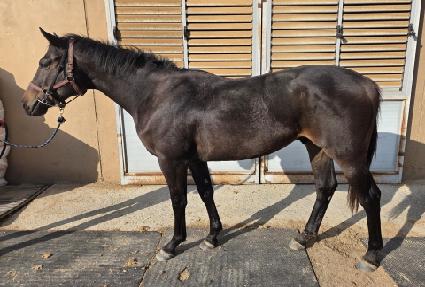 ��������Ʈ ����