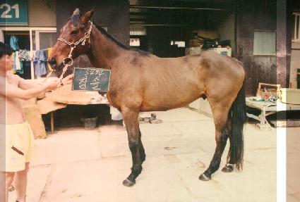 ���� ����