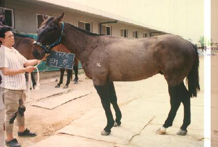 ���� ����