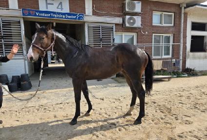 �������� ����