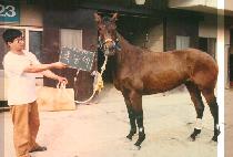 ��� (POK DEUNG SE) ����