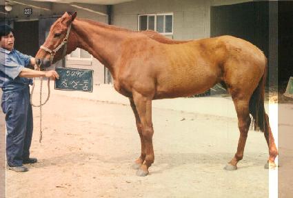 ����ǰ ����