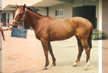 �̵���� ����