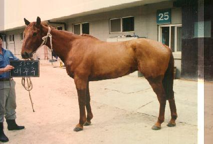 ������ ����